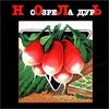 Созрела Дурь